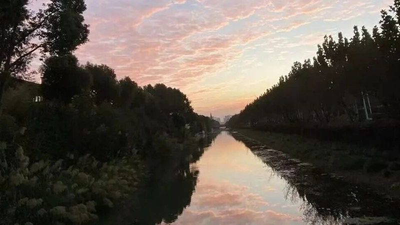 高校软件著作权与专利保护，选错可能白花钱